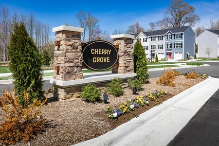 Cherry Grove Townhomes by Ryan Homes in Kannapolis - photo 10 10
