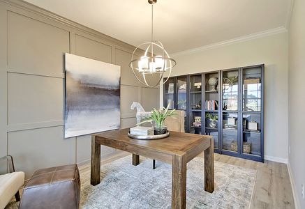 Petterson Meadows by Mungo Homes in Summerville - photo 11 11