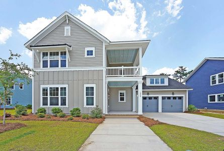 Point Hope - Village Collection by David Weekley Homes in Charleston - photo 12