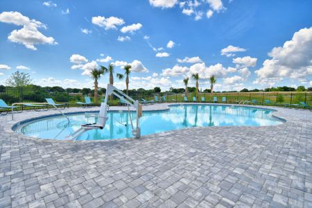 Magnolia Park by Adams Homes in Haines City - photo 41