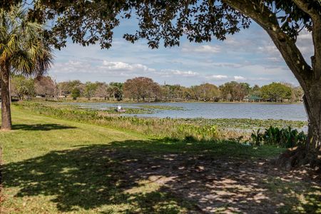 Bradford Ridge by Maronda Homes in Leesburg - photo 78 78