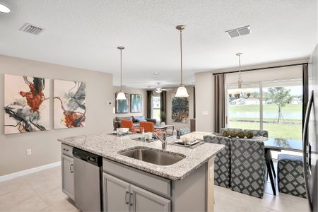 Lakewood Park by Dream Finders Homes in Deland - photo 8 8