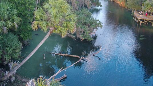 Blue Springs State Park is one of the area's most popular natural highlights for its crystal clear waters and manatee observation