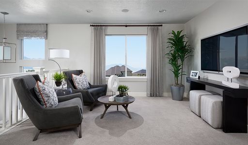 Creekside Village by Richmond American Homes in Thornton - photo 13