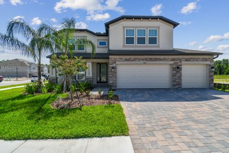 K-Bar Ranch Gilded Woods by M/I Homes in Tampa - photo 17 17