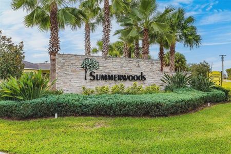 Summerwoods by Starlight Homes in Parrish - photo 12 12