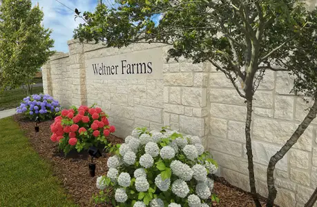 Weltner Farms by Beazer Homes in New Braunfels - photo 2 2