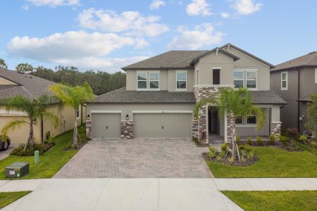 Hawthorne Ranch by M/I Homes in Lakeland - photo 10 10