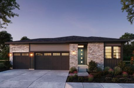 Kitchel Lake by Trumark Homes in Timnath - photo