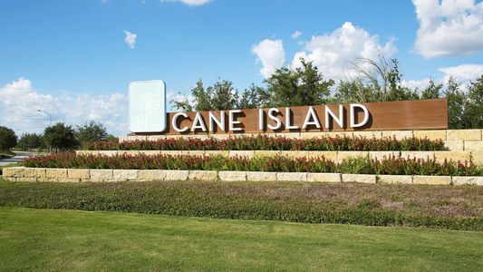 Cane Island 50' by Perry Homes in Katy - photo 9 9