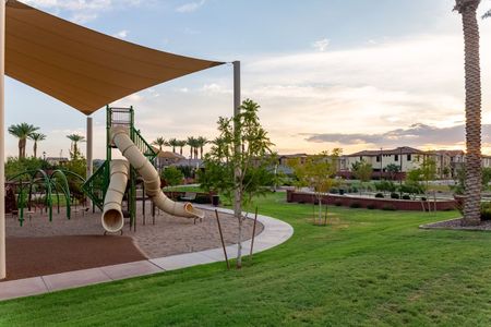 Seaboard at Cooley Station by Fulton Homes in Gilbert - photo