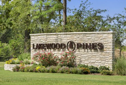 Lakewood Pines Trails by KB Home in Houston - photo 27
