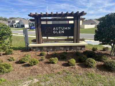 Autumn Glen by D.R. Horton in Belleview - photo 1 1