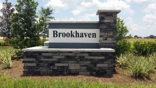 Brookhaven by D.R. Horton in Ocala - photo 0 0