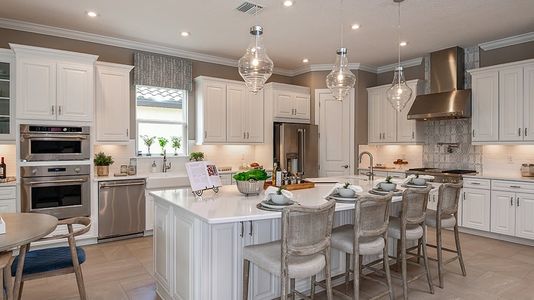 Esplanade at Wiregrass Ranch by Taylor Morrison in Wesley Chapel - photo 55 55