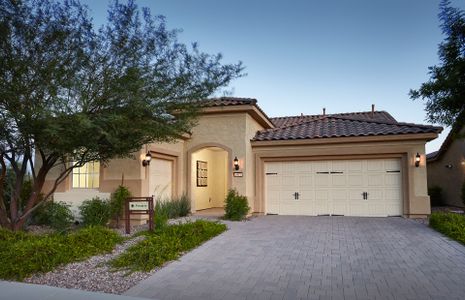 Sun City Anthem at Merrill Ranch by Del Webb in Florence - photo 28 28
