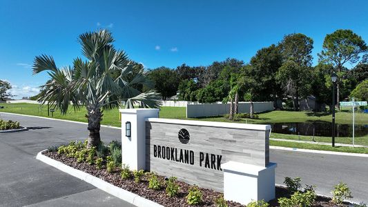 Brookland Park by Taylor Morrison in Auburndale - photo 12 12