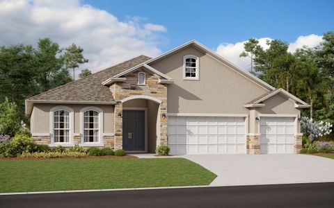 Summerdale Park at Lake Nona by Dream Finders Homes in Orlando - photo 8
