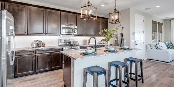 Ironwood Villages at North Creek by Woodside Homes in Queen Creek - photo 29 29