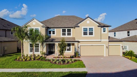 Shortgrass At Two Rivers by M/I Homes in Zephyrhills - photo 1 1