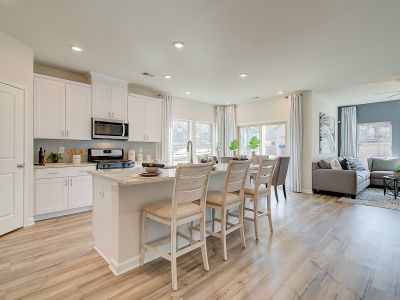 Vistas at Towne Mill by Meritage Homes in Canton - photo 15 15