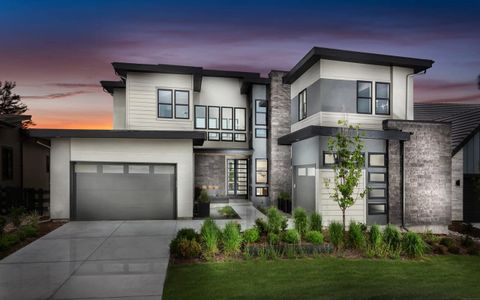 Vector at the Canyons by Infinity Properties in Castle Pines - photo 3 3