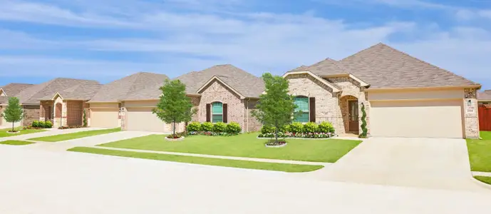 Trinity Crossing: Classic Collection by Lennar in Forney - photo 2 2