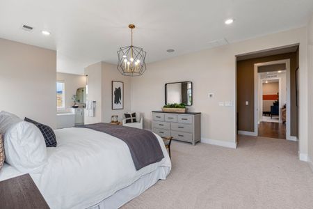 Trailstone Destination Collection by Taylor Morrison in Arvada - photo 163 163