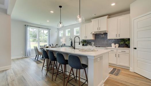 Silver Fox Reserve by Chafin Communities in Oakwood - photo 17