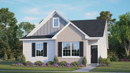 Madden West by D.R. Horton in Fuquay Varina - photo 8 8