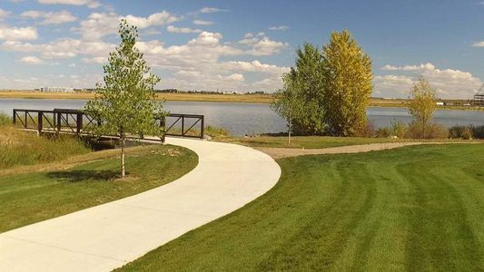 The Lakes at Centerra - Discovery by Landmark Homes in Loveland - photo 57 57