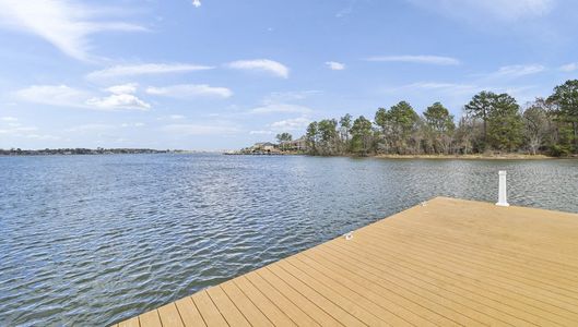 Water Crest on Lake Conroe - LAKE FRONT by D.R. Horton in Conroe - photo 20 20