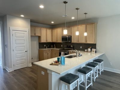 Tributary At The Park At Rivers Edge by Hunter Quinn Homes in North Charleston - photo 18 18