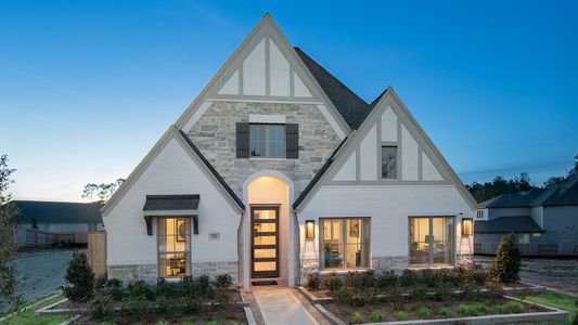 Woodforest 50' by Perry Homes in Montgomery - photo