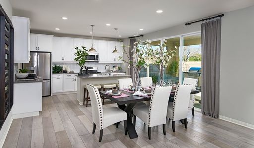 Seasons at Entrada Del Oro II by Richmond American Homes in Gold Canyon - photo 22 22