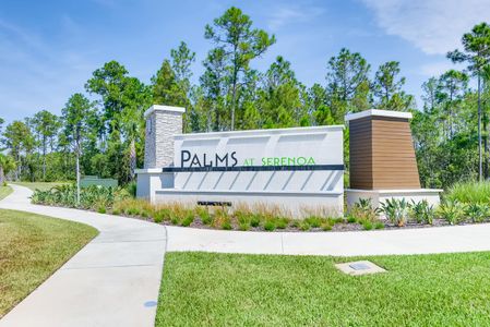 Palms at Serenoa by D.R. Horton in Clermont - photo