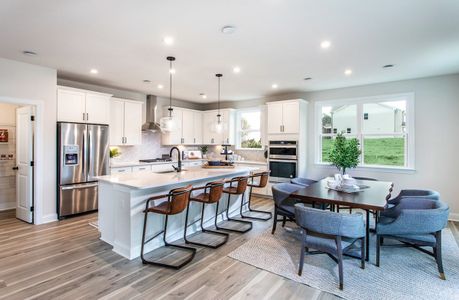 Pine Mountain Park by Beazer Homes in Kennesaw - photo 6