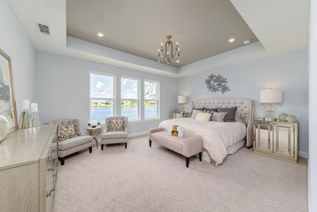 Grand Oaks - The Bluffs - 60' by Drees Custom Homes in Saint Augustine - photo