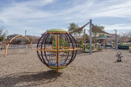The Grove at El Cidro by William Ryan Homes in Goodyear - photo 7 7