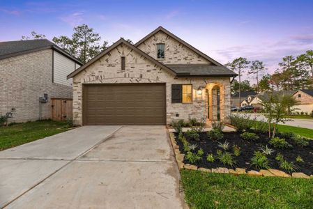 The Woodlands Hills: Artisan Series by Highland Homes in Willis - photo 10 10