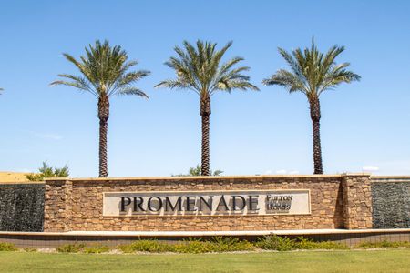 Calistoga at Promenade by Fulton Homes in San Tan Valley - photo 3 3