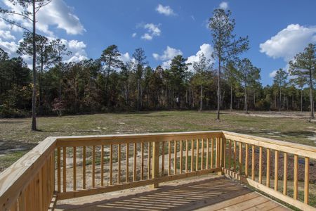 Carson's Landing by Great Southern Homes in Angier - photo 7 7