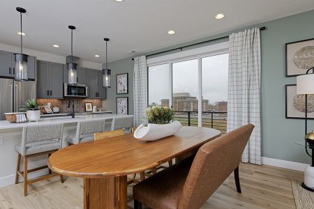 Loretto Heights 3-Story by Thrive Home Builders in Denver - photo 20 20