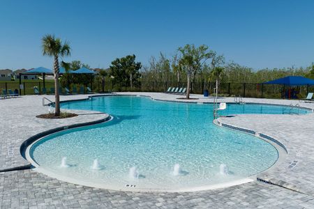 Hammock Reserve by Casa Fresca Homes in Haines City - photo 6 6