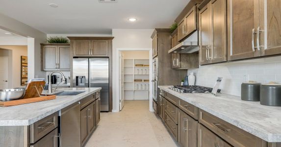 Eminence at Alamar by William Ryan Homes in Avondale - photo 55 55
