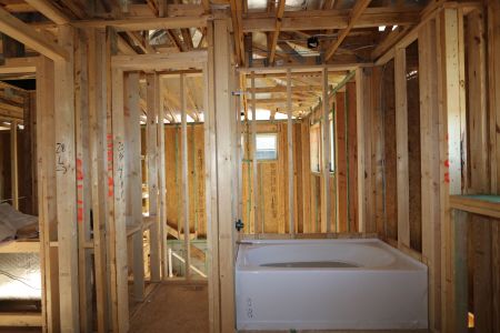 New construction Single-Family house 5254 Currant Street, Lakeland, FL 33811 Marina- photo 43 43