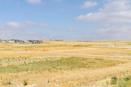 New construction Single-Family house 39417 Stockton Circle, Elizabeth, CO 80107 - photo 32 32