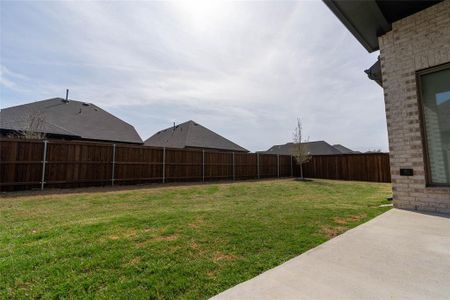 New construction Single-Family house 9200 Copperhead Road, Little Elm, TX 75068 - photo 31 31