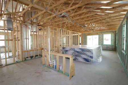 New construction Single-Family house 4837 Foxglove Circle, Lakeland, FL 33811 Picasso- photo 21 21