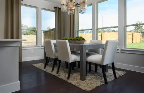 Crosswinds by Pulte Homes in Kyle - photo 21 21